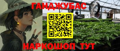 прущие грибы Кандалакша