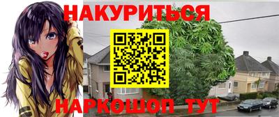 прущие грибы Кандалакша