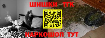 прущие грибы Кандалакша
