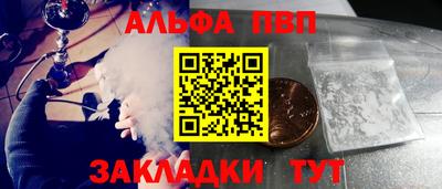 прущие грибы Кандалакша